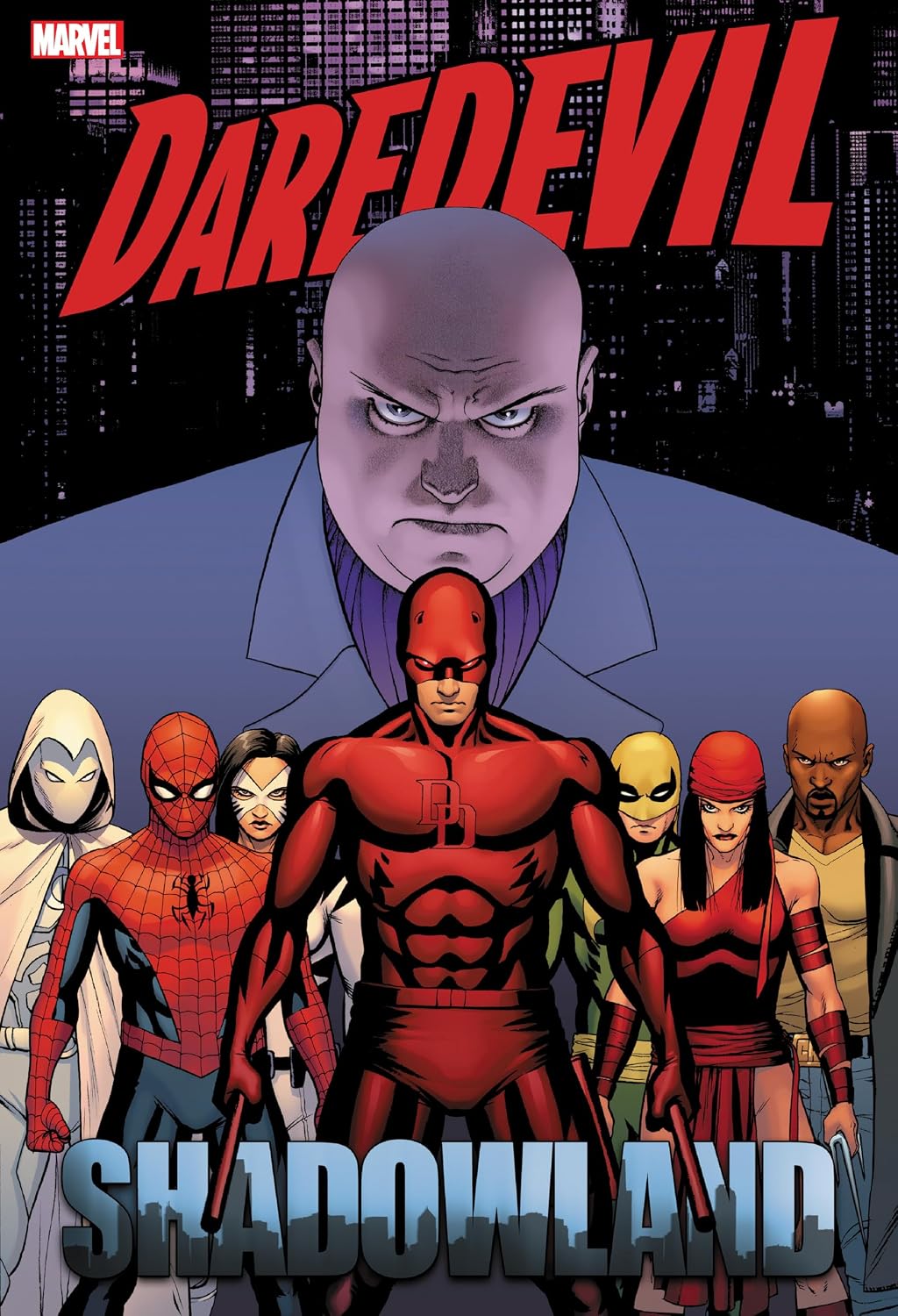 Omnibus cover featuring Daredevil and his allies with a cityscape background.