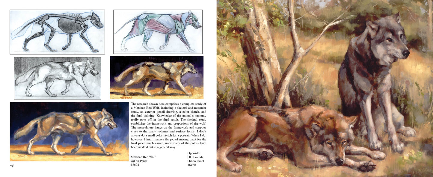 ANIMAL NATURE ART OF JOE WEATHERLY VOLUME 2 HC