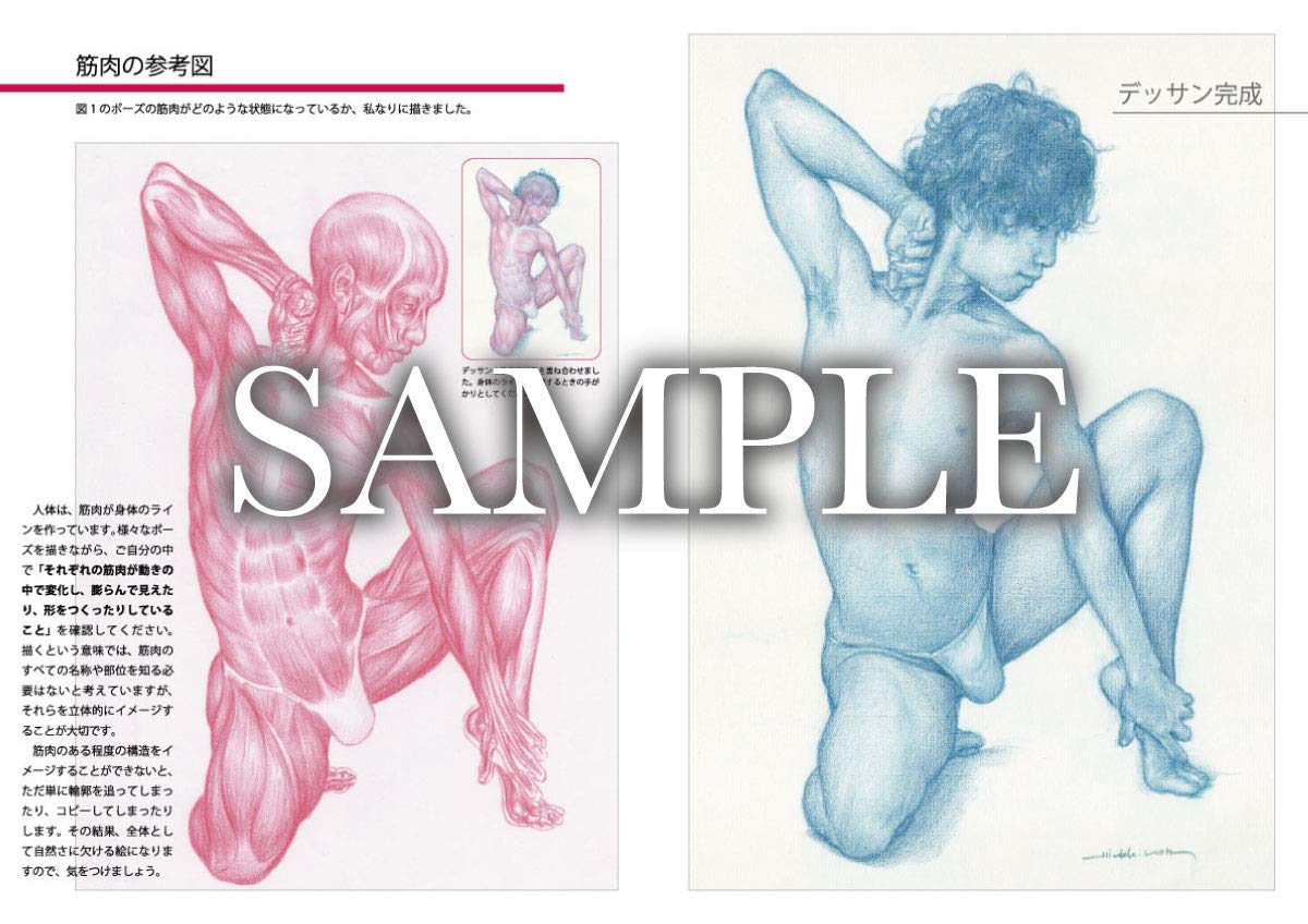 HUMAN BODY DRAWING MALE POSE COLLECTION 2 HIDEKI KO