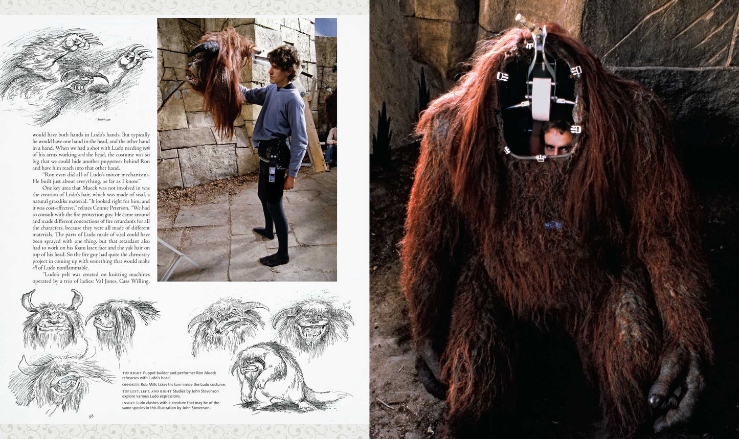 LABYRINTH ULTIMATE VISUAL HISTORY HC
