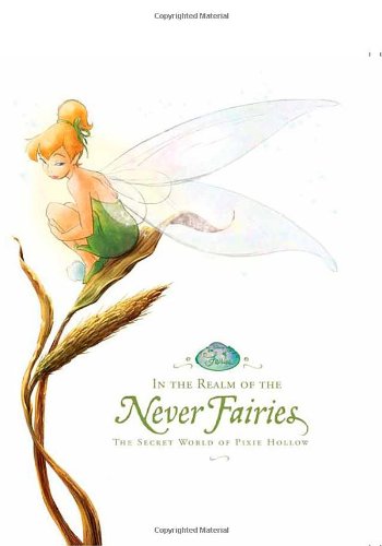 In the Realm of the Never Fairies: Hardcover Guide