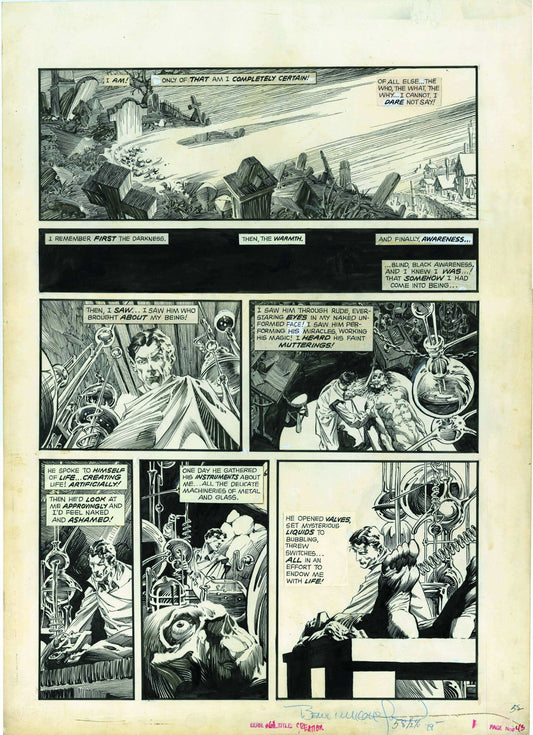 A portfolio page featuring black and white comic art by Bernie Wrightson, with a stiff portfolio sleeve.