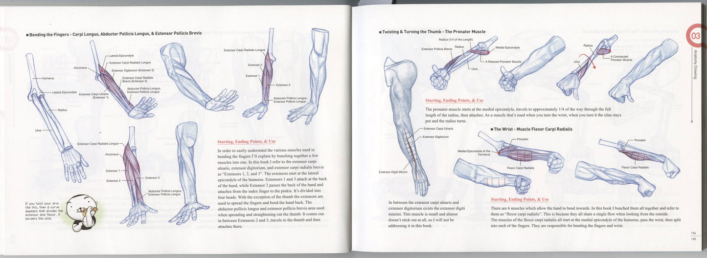 ROCKHE KIM'S ANATOMY DRAWING CLASS
