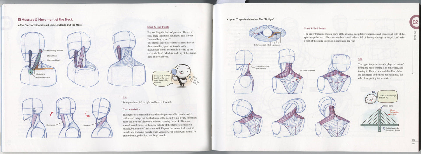 ROCKHE KIM'S ANATOMY DRAWING CLASS