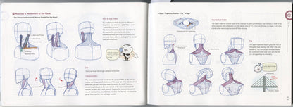 ROCKHE KIM'S ANATOMY DRAWING CLASS