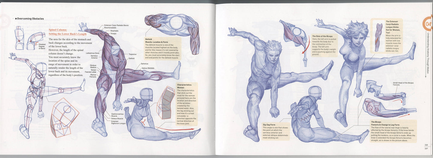 ROCKHE KIM'S ANATOMY DRAWING CLASS