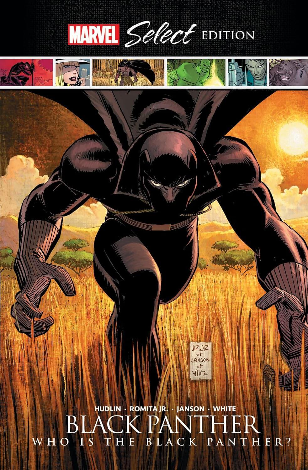 Cover of the graphic novel 'Black Panther: Who Is the Black Panther?' featuring a stylized illustration of the character Black Panther in a dynamic pose with a sunset background.