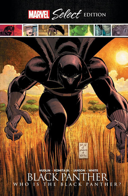 Cover of the graphic novel 'Black Panther: Who Is the Black Panther?' featuring a stylized illustration of the character Black Panther in a dynamic pose with a sunset background.