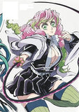 Demon Slayer: Kimetsu no Yaiba Anime Illustration Record Collection 4 (Japanese Edition)