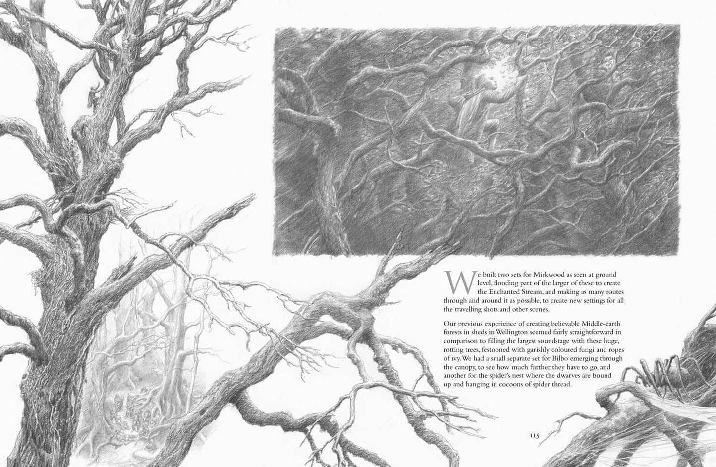 Detailed black and white illustration of a tree with an inset showing a person in a snowy landscape.