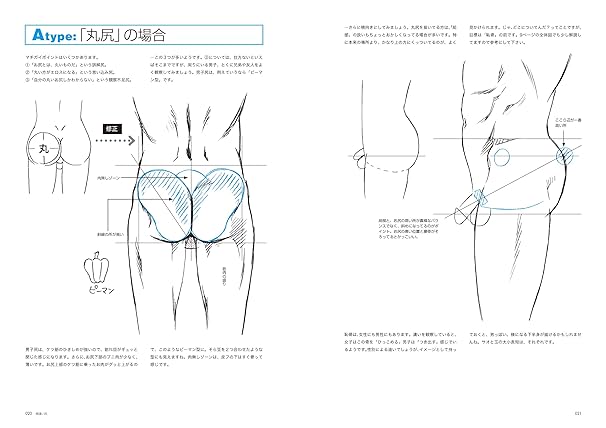 How to Draw Men's Hips: Character Anatomy Guide (Japanese Edition)