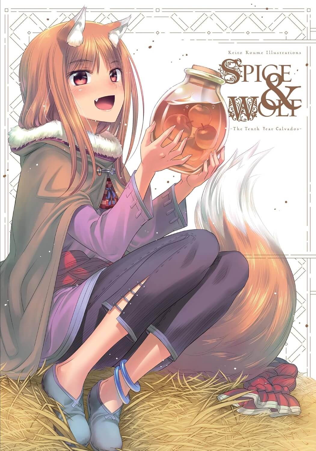 Cover of the 'Spice & Wolf Tenth Year Companion' art book featuring an illustration of a character holding a bottle, with a wolf's face in the background.