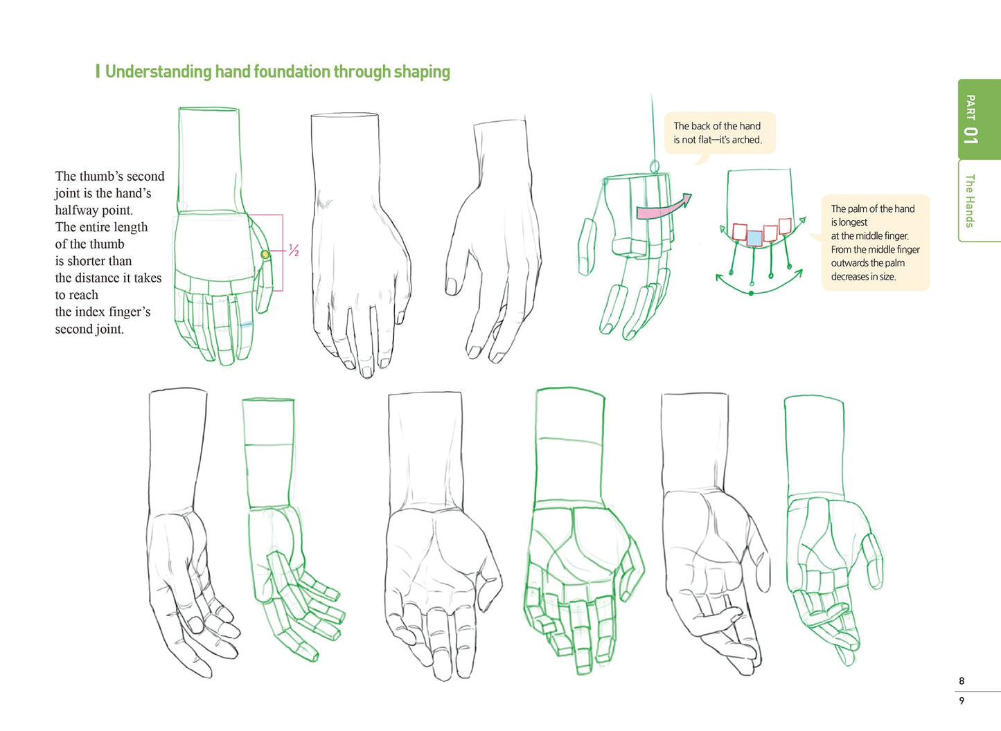 Illustrations of hands and arm shapes with annotations on a white background