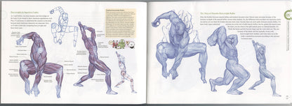 ROCKHE KIM'S ANATOMY DRAWING CLASS