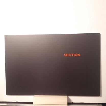 A black rectangular wall art panel or monitor-like display with the word SECTION in orange near the upper right, shown against a white wall.