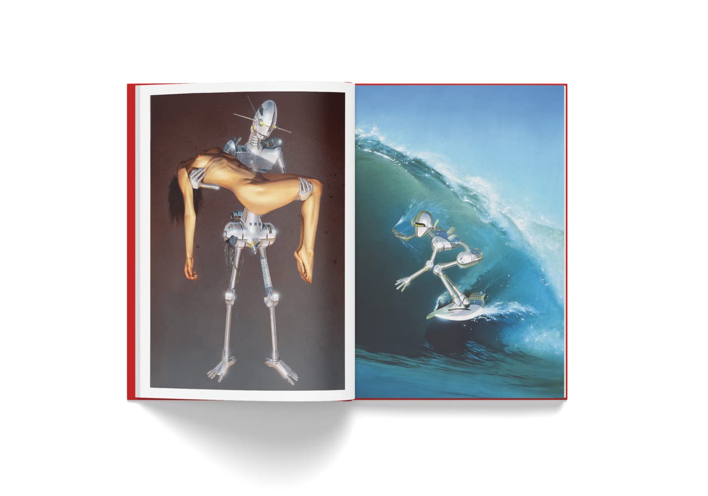 Open book showing two illustrations of a skeleton character on a surfboard, one on a gray background and the other on a blue wave.