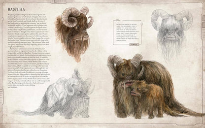 Star Wars Bestiary Vol 1: Creatures of the Galaxy – Official Art Book