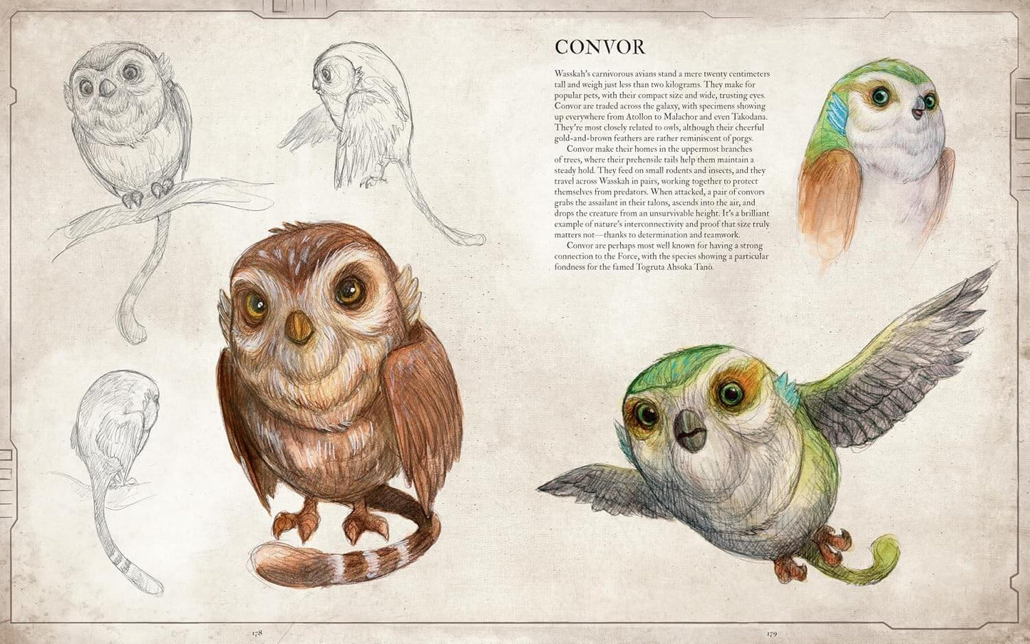 Star Wars Bestiary Vol 1: Creatures of the Galaxy – Official Art Book