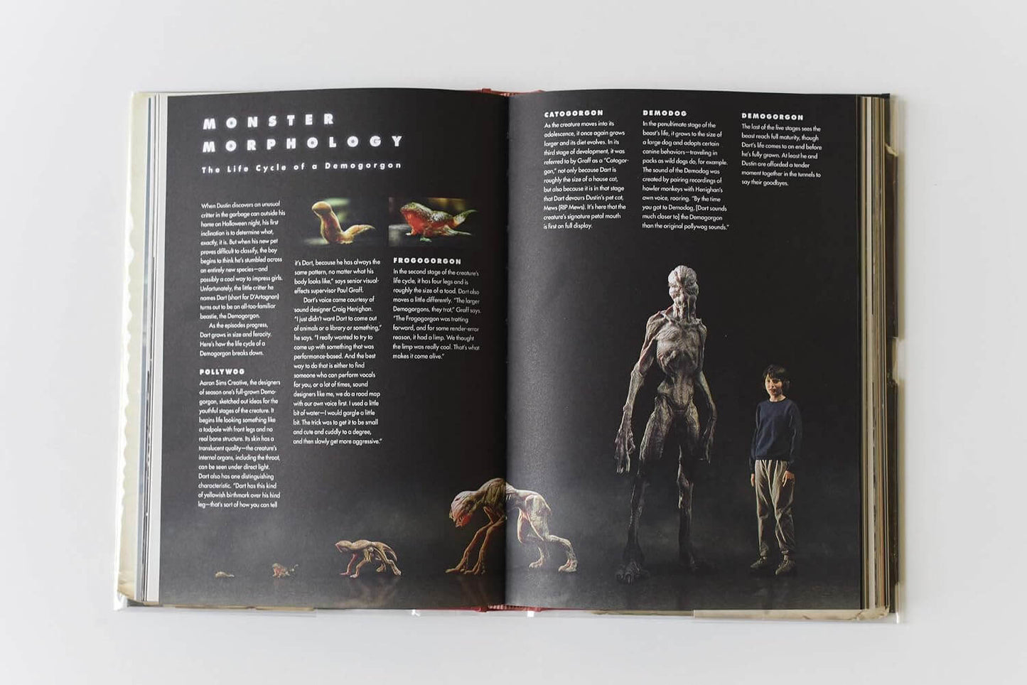 Stranger Things: Worlds Turned Upside Down - The Official Behind-the-Scenes Companion Hardcover