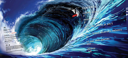 Art of Surf's Up:  Making of True Story Hardcover