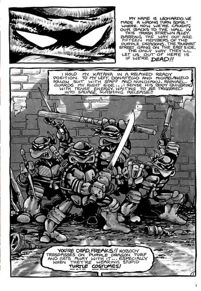 Teenage Mutant Ninja Turtles Compendium Vol. 1 Hardcover