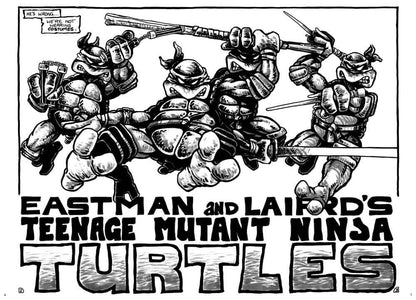 Teenage Mutant Ninja Turtles Compendium Vol. 1 Hardcover