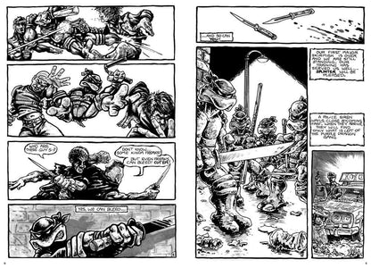 Teenage Mutant Ninja Turtles Compendium Vol. 1 Hardcover