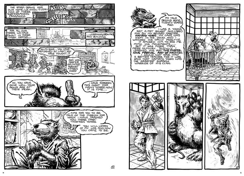 Teenage Mutant Ninja Turtles Compendium Vol. 1 Hardcover