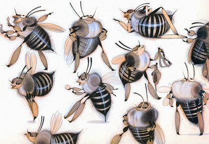 A whimsical illustration featuring multiple cartoon bumblebees in various playful poses, rendered in black, white, gray, and warm tan tones on a plain white background.