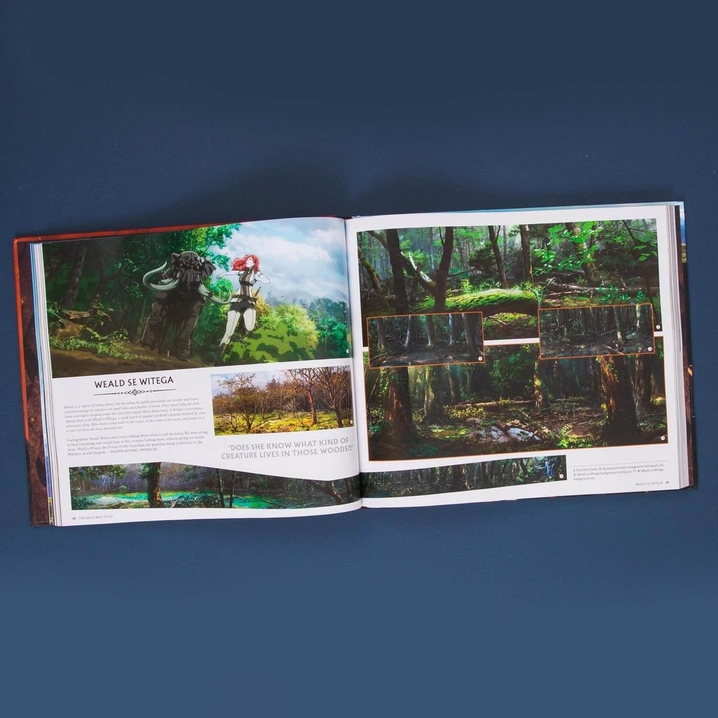 Open book showing images of a forest on a dark blue background