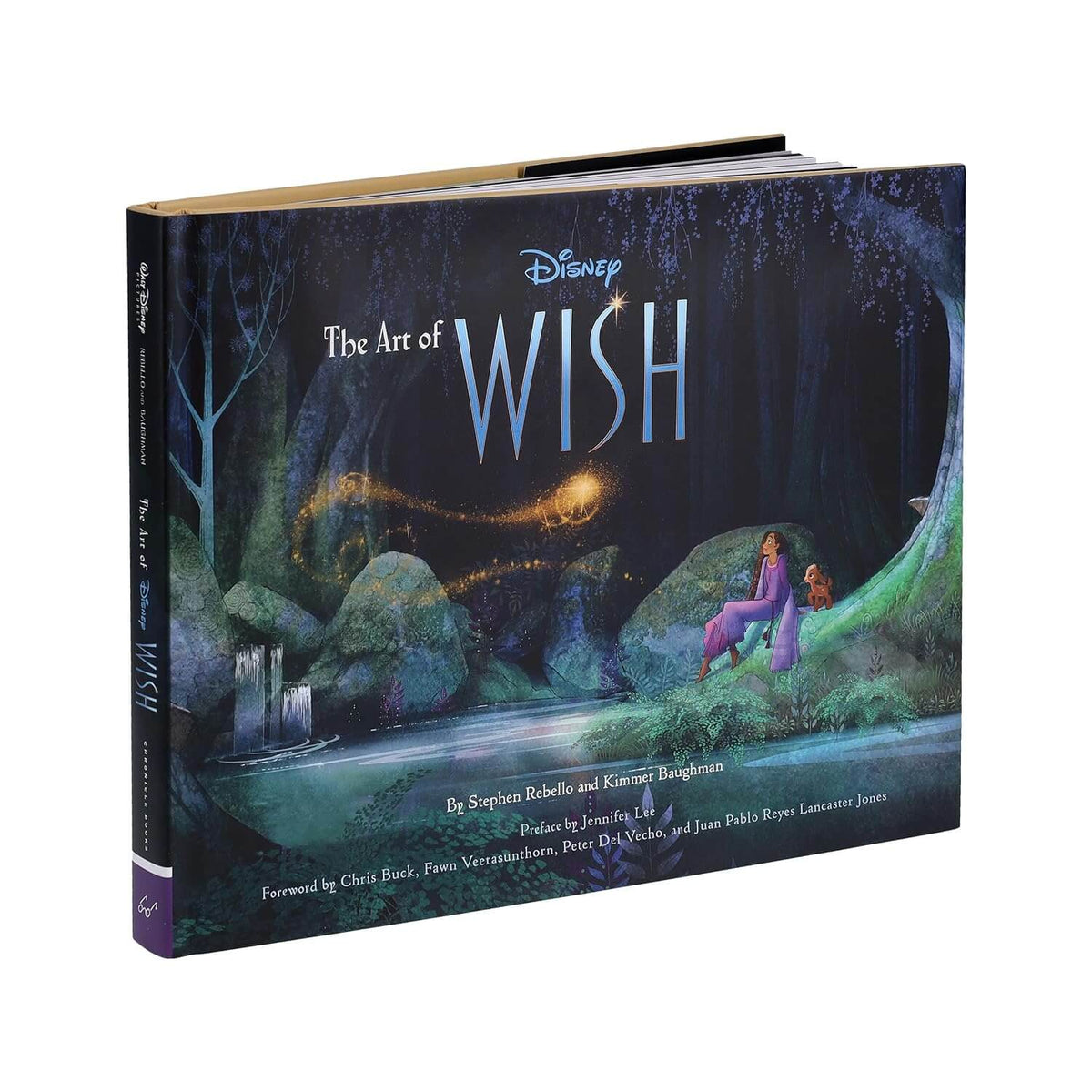 The Art of Wish Hardcover
