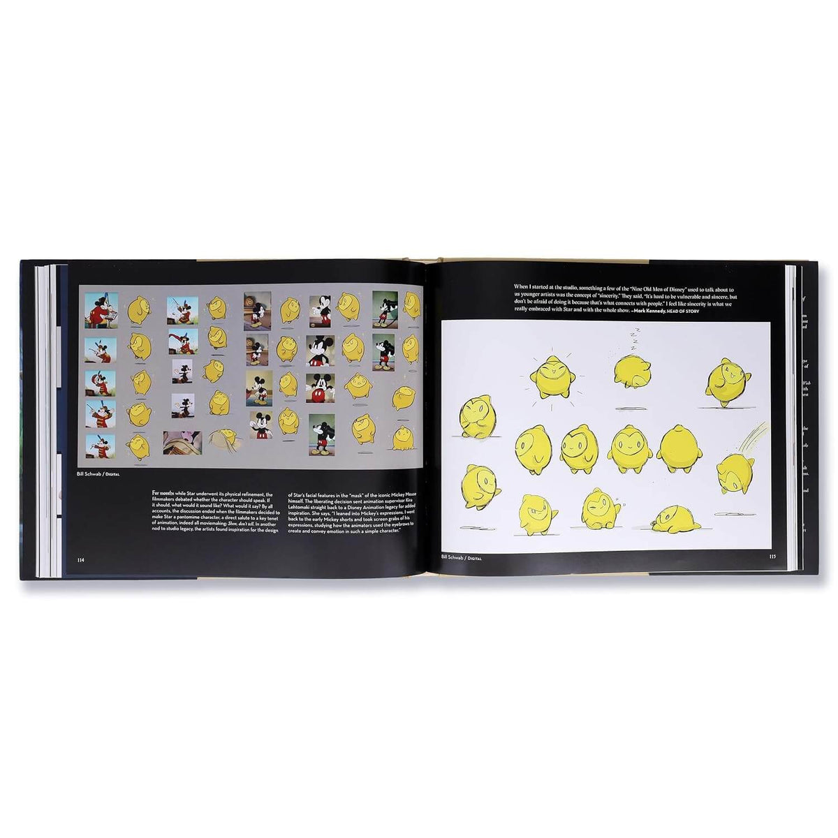 The Art of Wish Hardcover