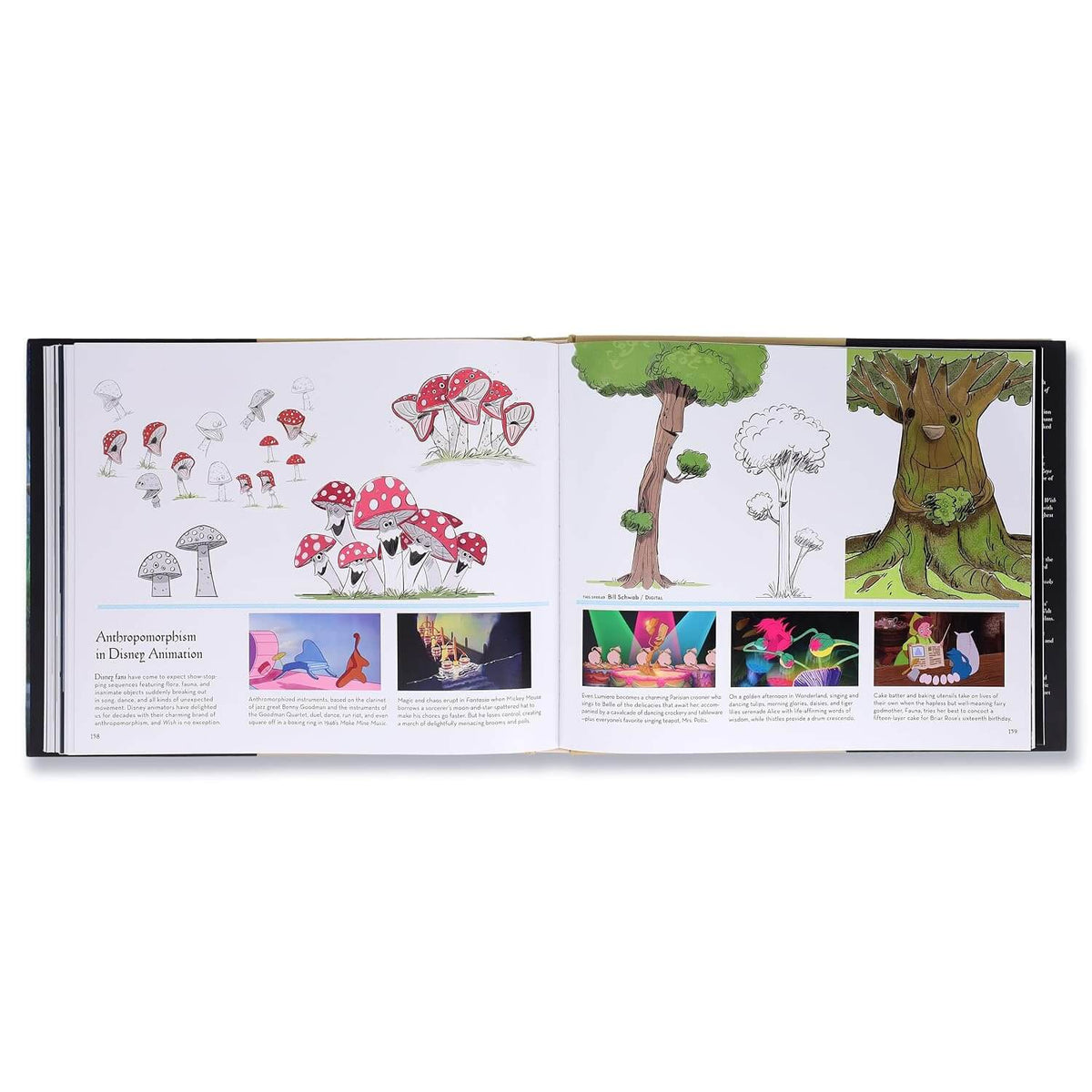 The Art of Wish Hardcover