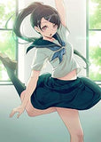 The Center of the Sailor Uniform (GAKAKU) Art Anthology (Japanese Edition)