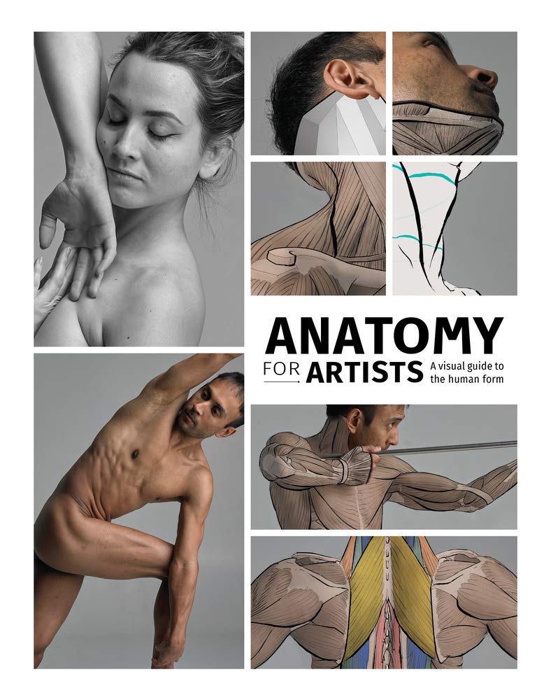 ANATOMY FOR ARTISTS A VISUAL GUIDE FOR THE HUMAN FORM HC