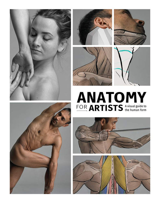 ANATOMY FOR ARTISTS A VISUAL GUIDE FOR THE HUMAN FORM HC