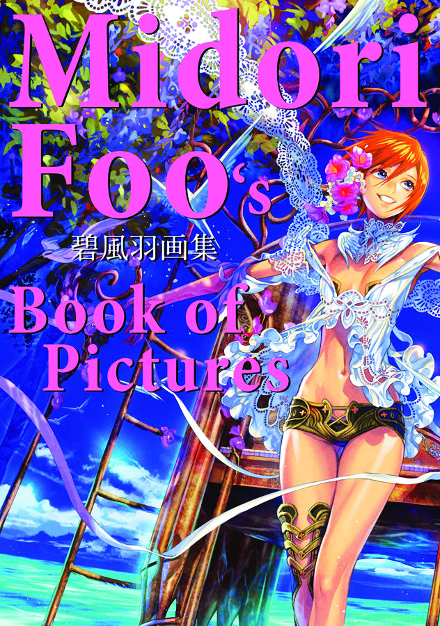 MIDORI FOO BOOK OF PICTURES SC