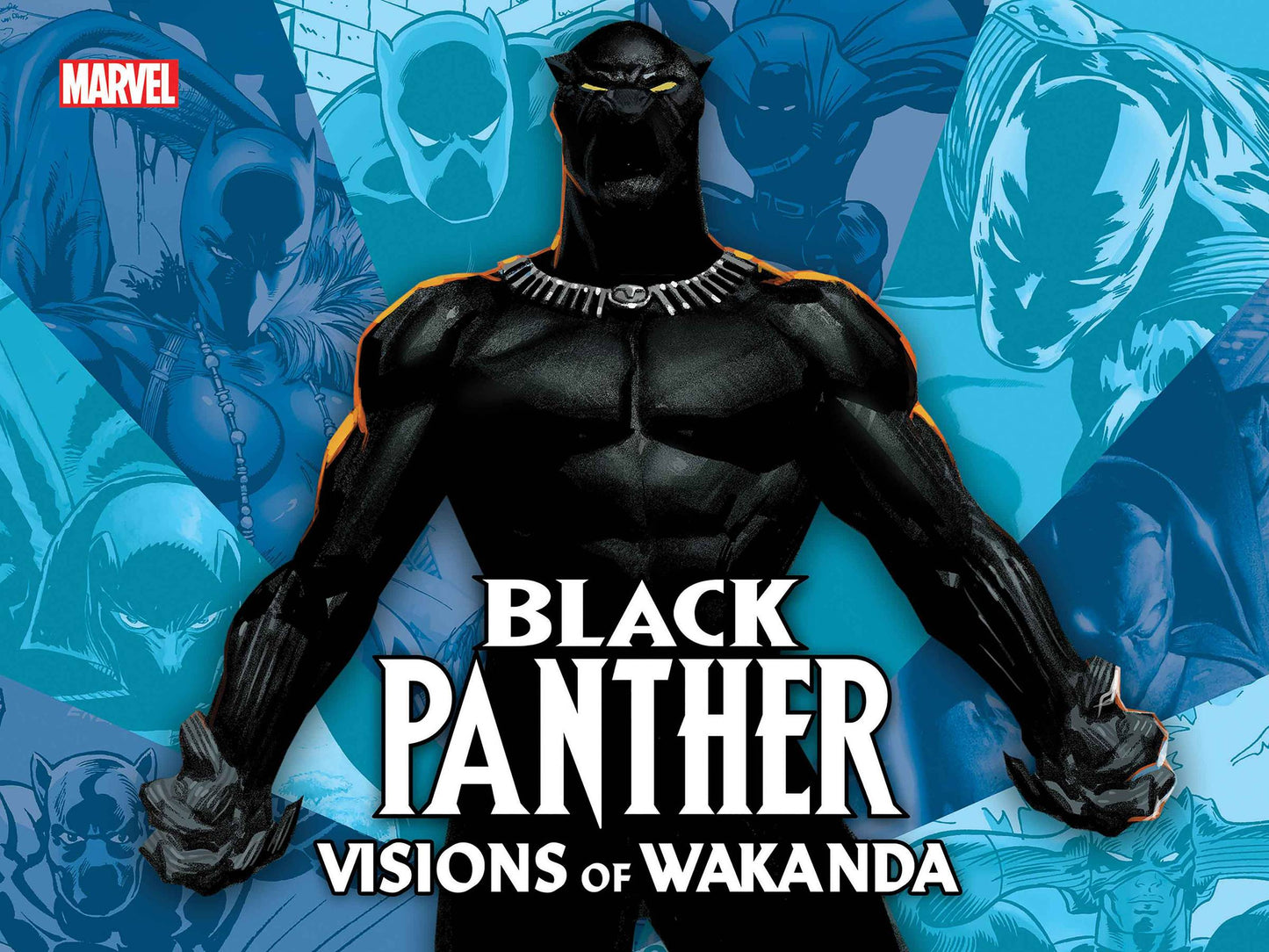 BLACK PANTHER HC VISIONS OF WAKANDA