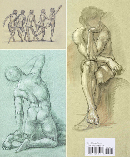 CLASSIC HUMAN ANATOMY IN MOTION HC