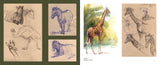 ANIMAL NATURE ART OF JOE WEATHERLY VOLUME 2 HC
