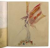 DROAR DRAWINGS & WATERCOLORS JUSTIN SWEET