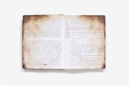 MR. ROBOT: Red Wheelbarrow (Elliot's Journal)