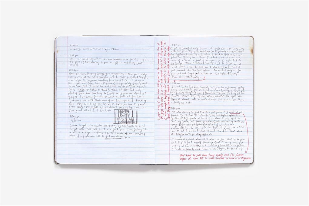 MR. ROBOT: Red Wheelbarrow (Elliot's Journal)