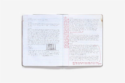 MR. ROBOT: Red Wheelbarrow (Elliot's Journal)