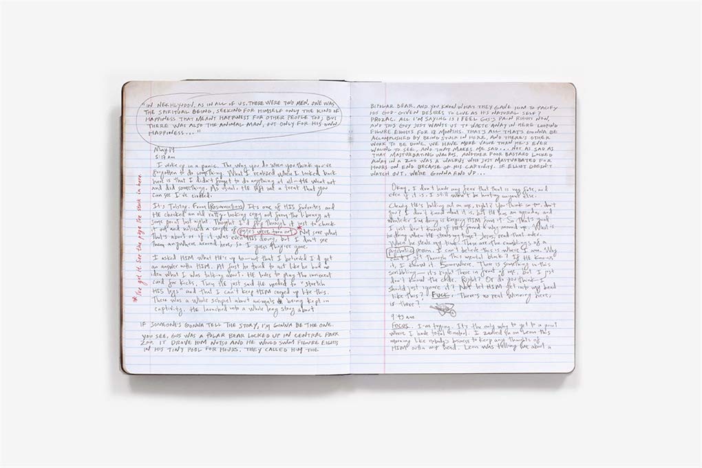 MR. ROBOT: Red Wheelbarrow (Elliot's Journal)