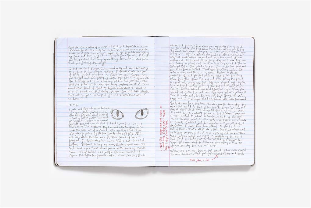 MR. ROBOT: Red Wheelbarrow (Elliot's Journal)