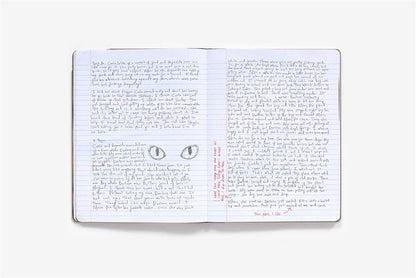 MR. ROBOT: Red Wheelbarrow (Elliot's Journal)