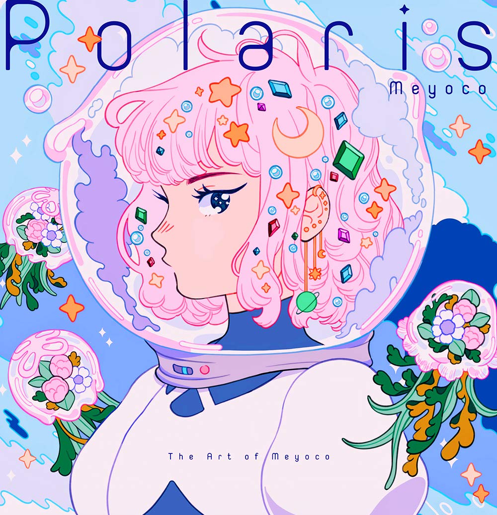 POLARIS ART OF MEYOCO