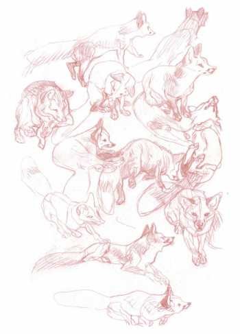 Claire Wendling Rainbook Sketch Book