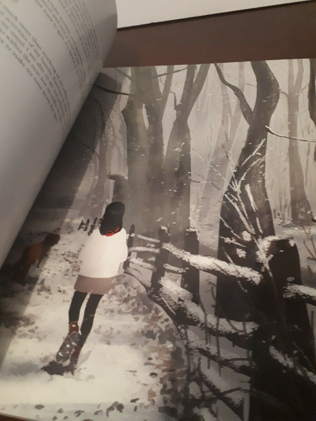 Pascal Campion Room to Grow Sketch Art Book Signed